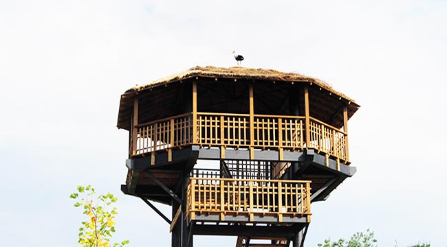 SAMSUN’DA  BİR DÜNYA  MİRAS ALANI