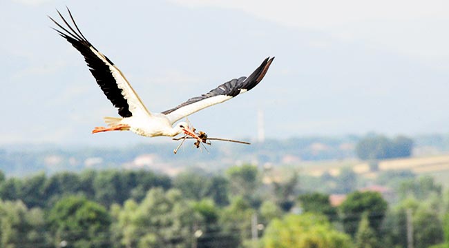 SAMSUN’DA  BİR DÜNYA  MİRAS ALANI