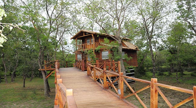 SAMSUN’DA  BİR DÜNYA  MİRAS ALANI