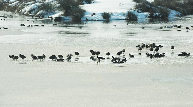 SAMSUN’DA  BİR DÜNYA  MİRAS ALANI