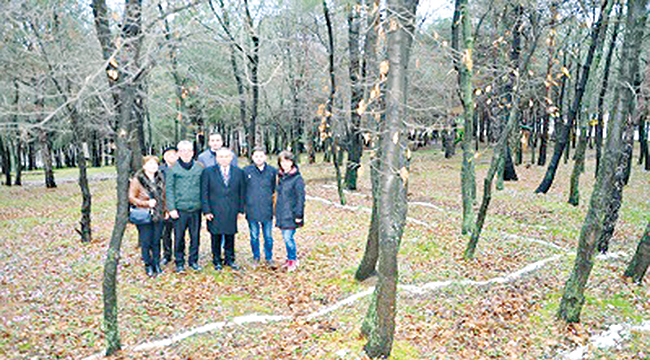 ‘Ormanı tahrip etmeyin’