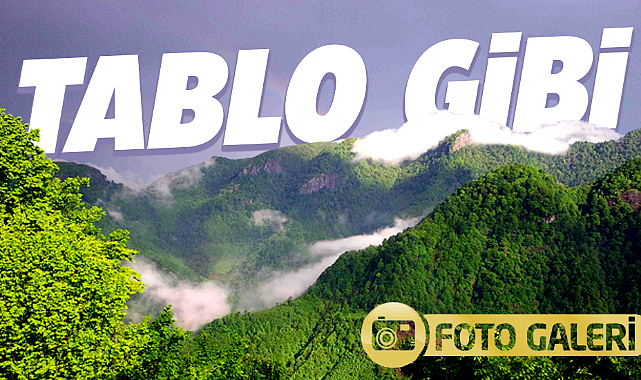 Samsun'un Salıpazarı ilçesinden muhteşem doğa fotoğrafları