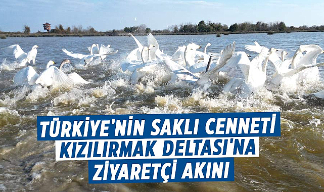 Kızılırmak Deltası Kuş Cenneti'ne bir yılda 100 bin ziyaretçi