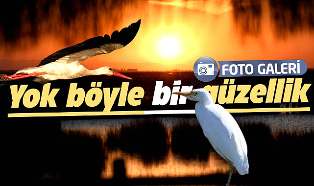 Kızılırmak Deltası'ndan muhteşem fotoğraflar! Yok böyle bir güzellik