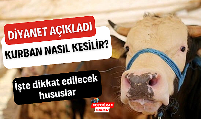 Kurban nedir? Kurban Bayramı'nda kurban nasıl kesilir?