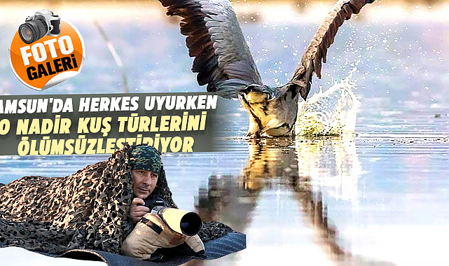 Samsun'da herkes uyurken o nadir kuş türlerini ölümsüzleştiriyor