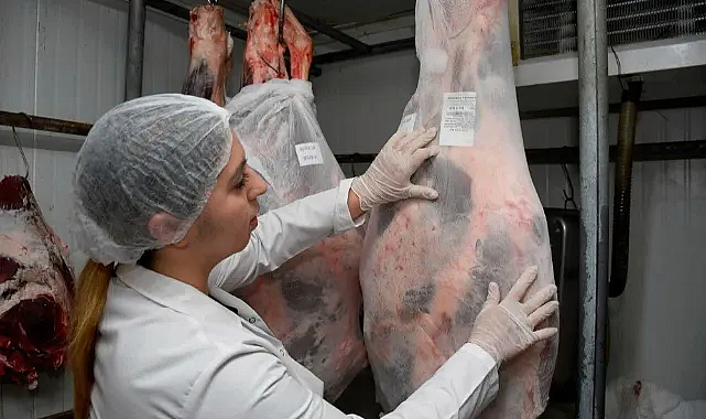 Kurban eti nasıl nerede kaç ay saklanmalı?