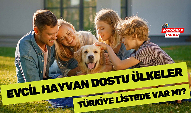 Evcil hayvan dostu ülkeler