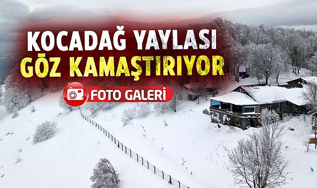 Kocadağ Yaylası göz kamaştırıyor
