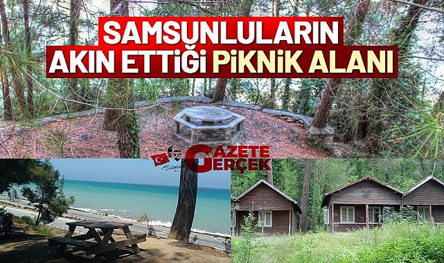 Samsunluların akın ettiği piknik alanı! Çamgölü mesire ve kamp alanı