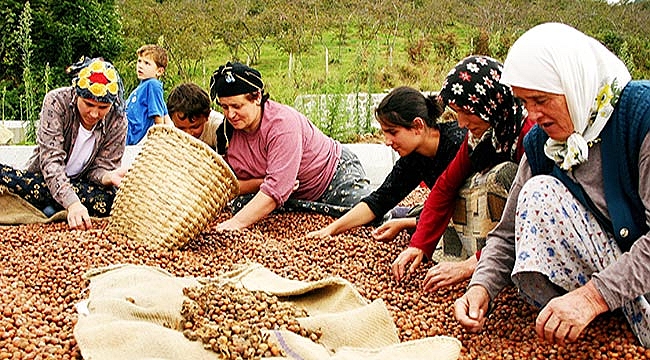 FİSKOBİRLİK piyasaya giriyor