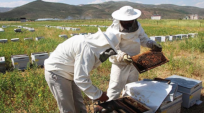 2 ayda 100 bin  lira kazanıyorlar