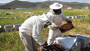 2 ayda 100 bin  lira kazanıyorlar