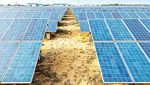 Ankaralı firmalar Samsun’u seçti