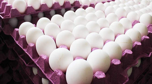 Belçika’da zehirli yumurta skandalı