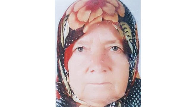 Böğürtlen toplamaya giden yaşlı kadın dere yatağında ölü bulundu