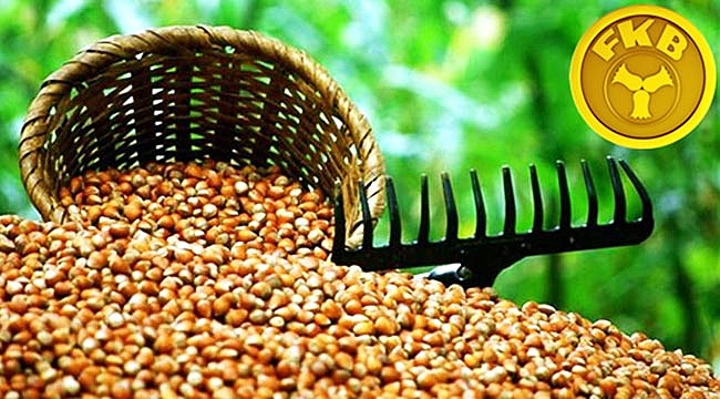 Fındık üreticisine FİSKOBİRLİK fırsatı