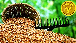 Fındık üreticisine FİSKOBİRLİK fırsatı