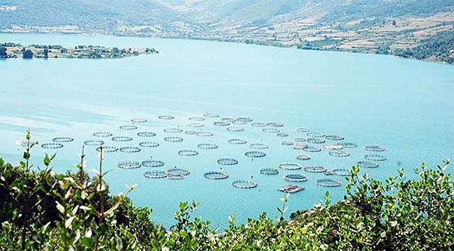 'HEDEFİMİZ YILDA 1 MİLYON 260 BİN TON'