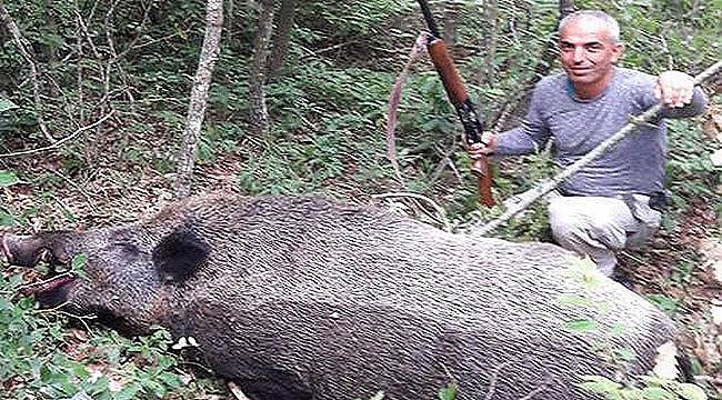 İLK GÜN 200 KİLOLUK DOMUZ VURULDU