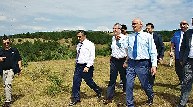 KAVAK YÜKSELEN BİR DEĞER