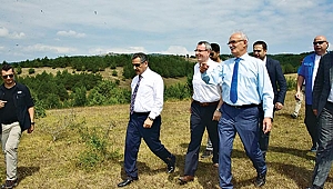 KAVAK YÜKSELEN BİR DEĞER