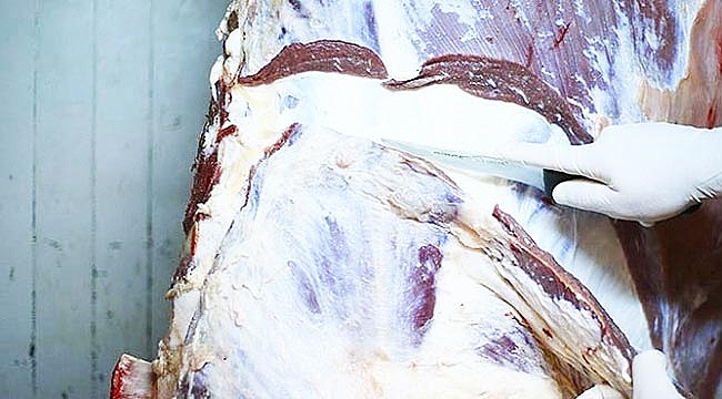 KURBAN ETİNDEKİ KOKULARA DİKKAT!