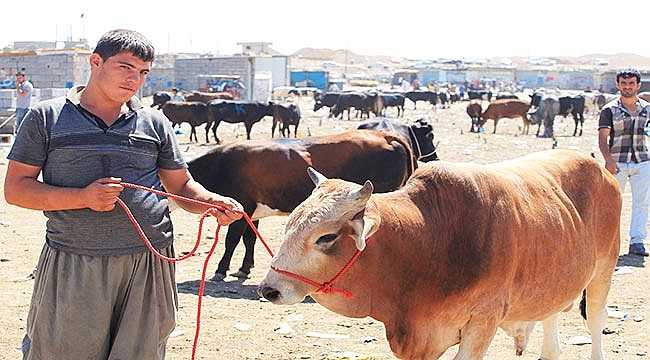 ‘KURBANA EZİYET ETMEYİN’