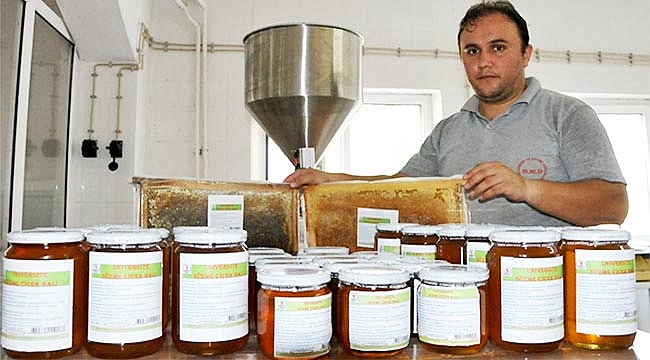 OMÜ saf bal üretiminde rekoru yakaladı