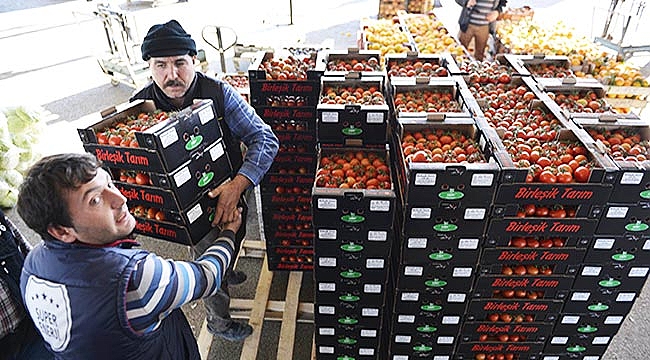 Rusya domatesi  Samsun’u vurdu