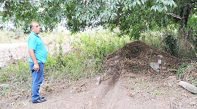 ŞAHİN: İŞİN ASLINI ÖĞRENİNCE...