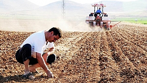 Tarımsal destekler belli oldu