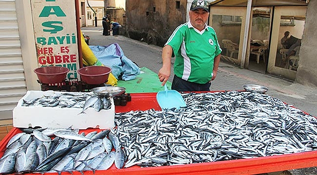 Balıkçılara erken hamsi avı uyarısı