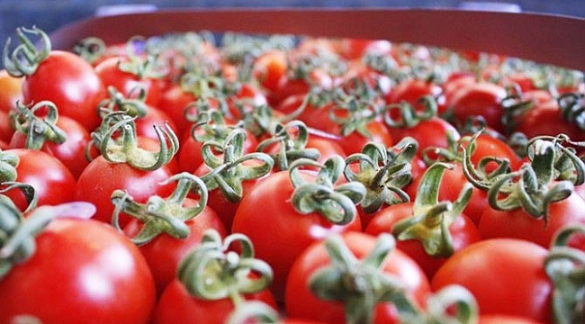 ‘Domates yasağı 1 Kasım'da kalkabilir’