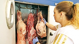 ETLER KASAP GÜLTEN'DEN