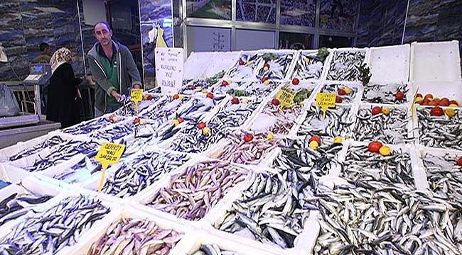 Karadeniz'de balık bolluğu