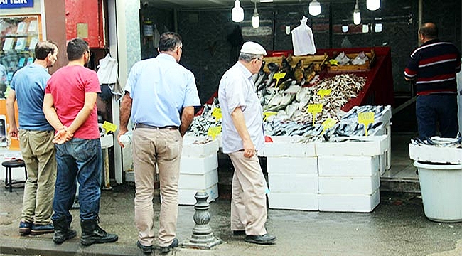 Palamut hayal kırıklığı oluşturdu, umut hamside