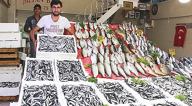 Tezgahlarda hamsi bereketi