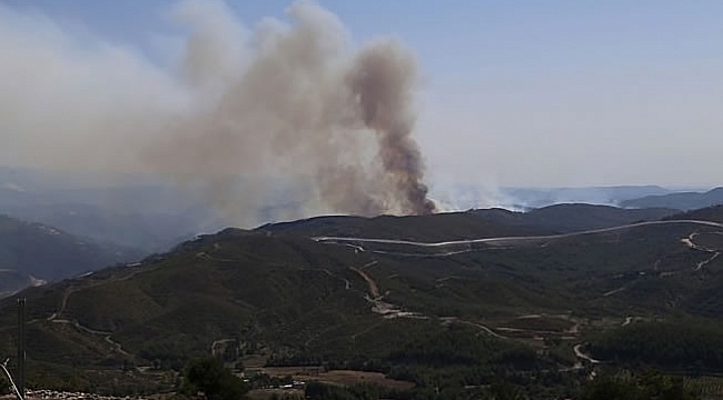 Türkiye sınırına yaklaştı