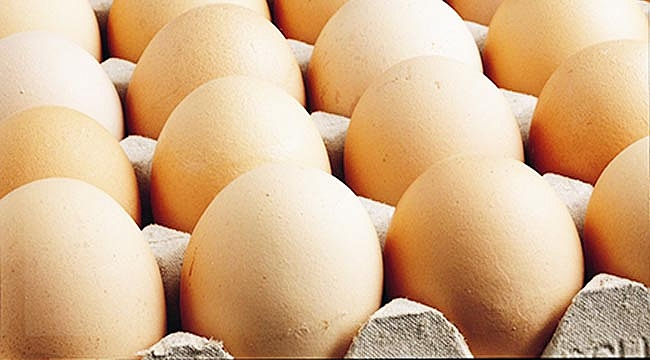 Yumurta zam şampiyonu oldu