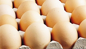 Yumurta zam şampiyonu oldu