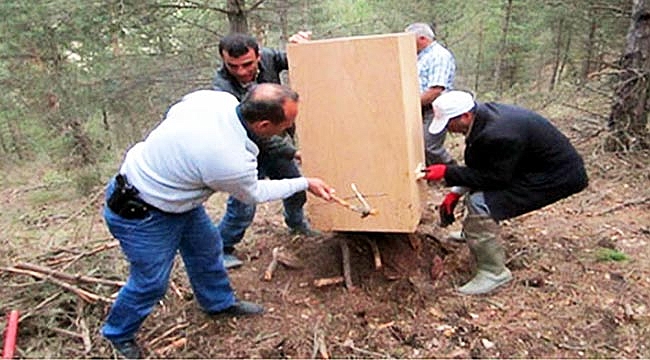 4,8 milyon fidan üretildi