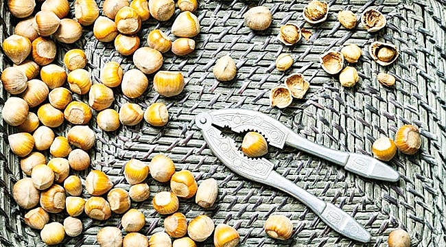 Fındık üreticisine 420 milyon ödeme