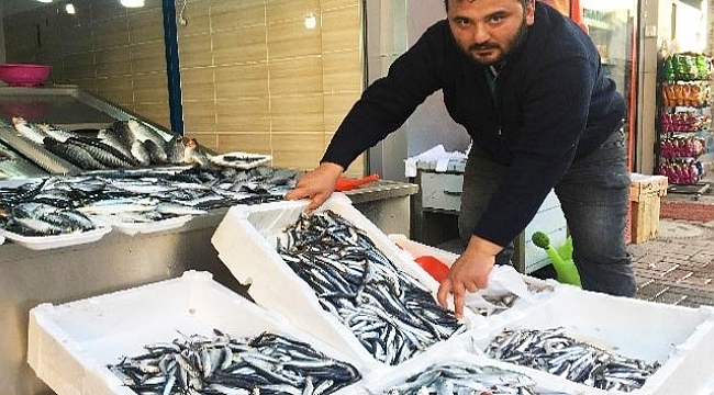 Hamsi tavan yaptı: 20 TL