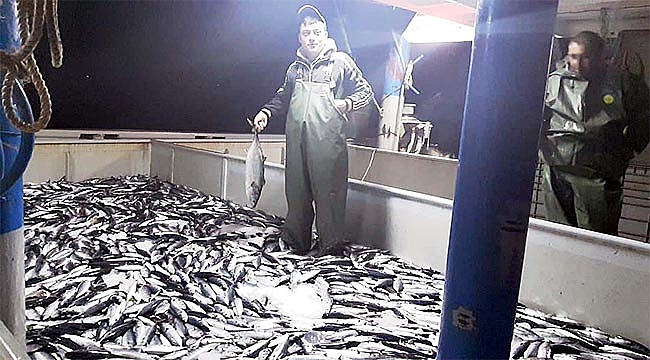 Kasalar dolusu balıklarla limana dönüyorlar