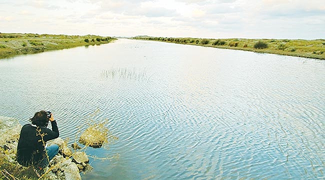 Kızılırmak Deltası odak noktası oldu