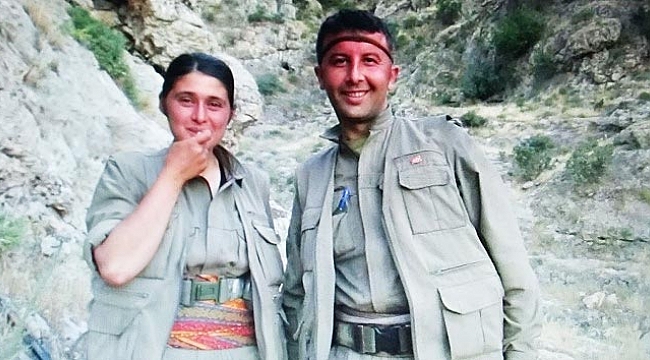 Mardin'de PKK'ya büyük darbe