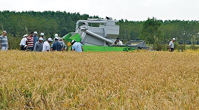 Samsun bazı tarım ürünlerinde Türkiye 1'incisi