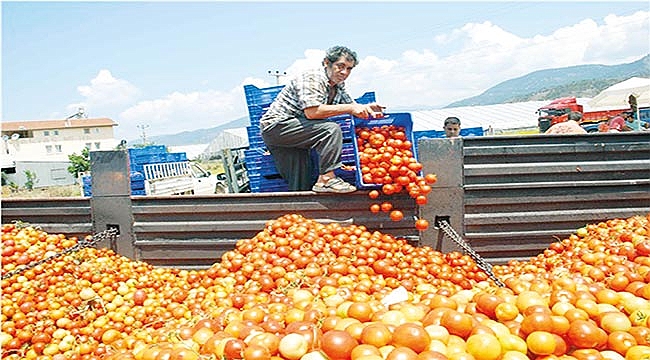 TİM: 4 firma kararı kurallara aykırı