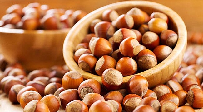 TMO 22 bin ton fındık aldı